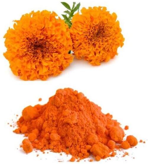 marigold extract lutein.jpg marigold extract lutein.jpg